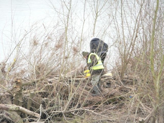 Loire propre 2013 (16).jpg